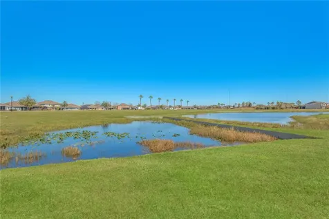 11908 Greenchop Place Riverview FL 33579