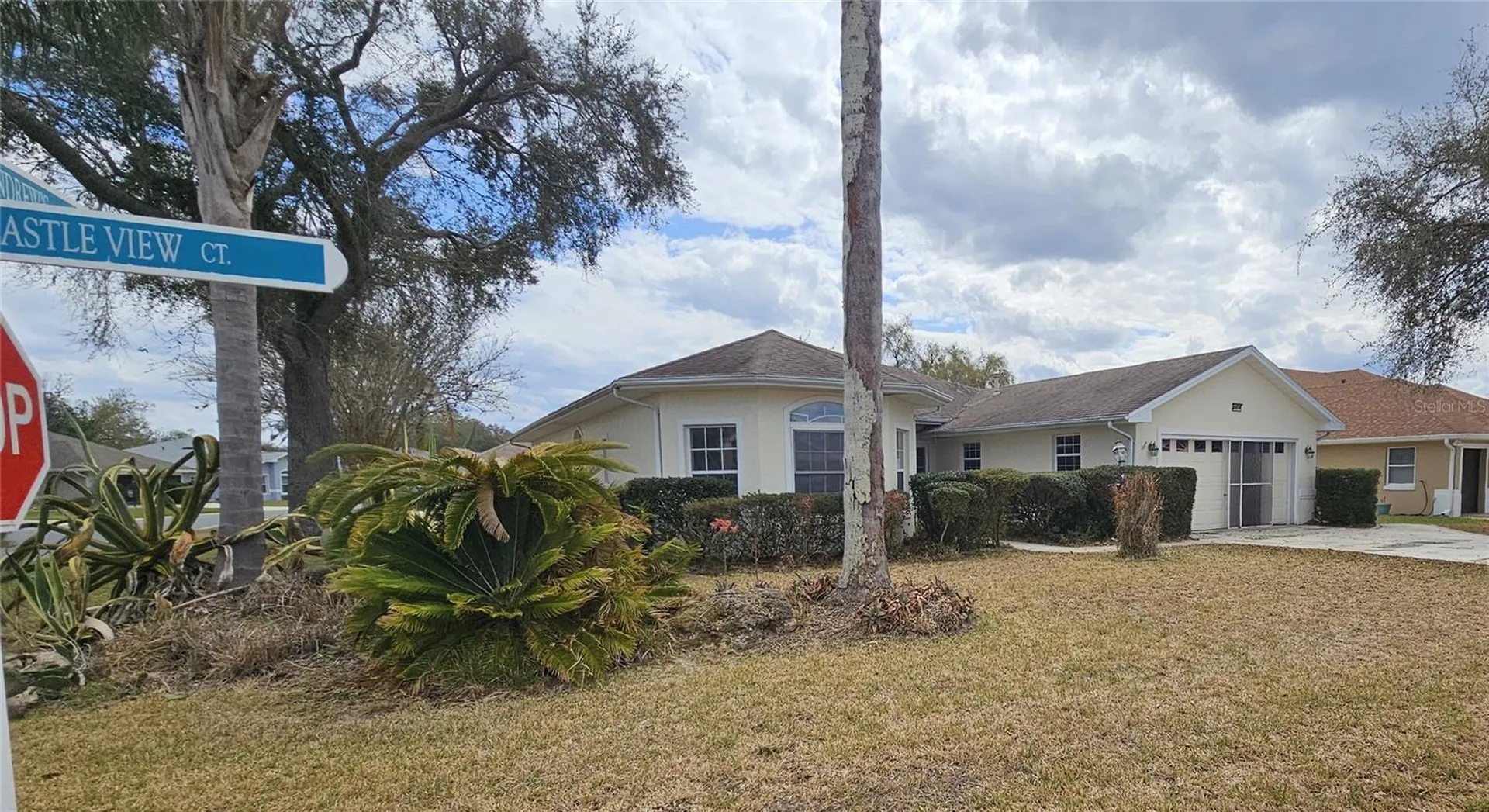 21516 Castle View Court Leesburg FL 34748