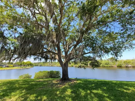 4120 Stratford Drive New Port Richey FL 34652