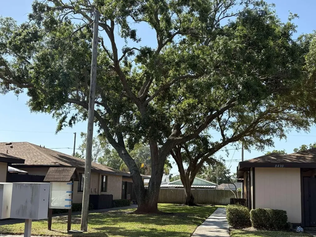 8480 60th Street N Pinellas Park FL 33781