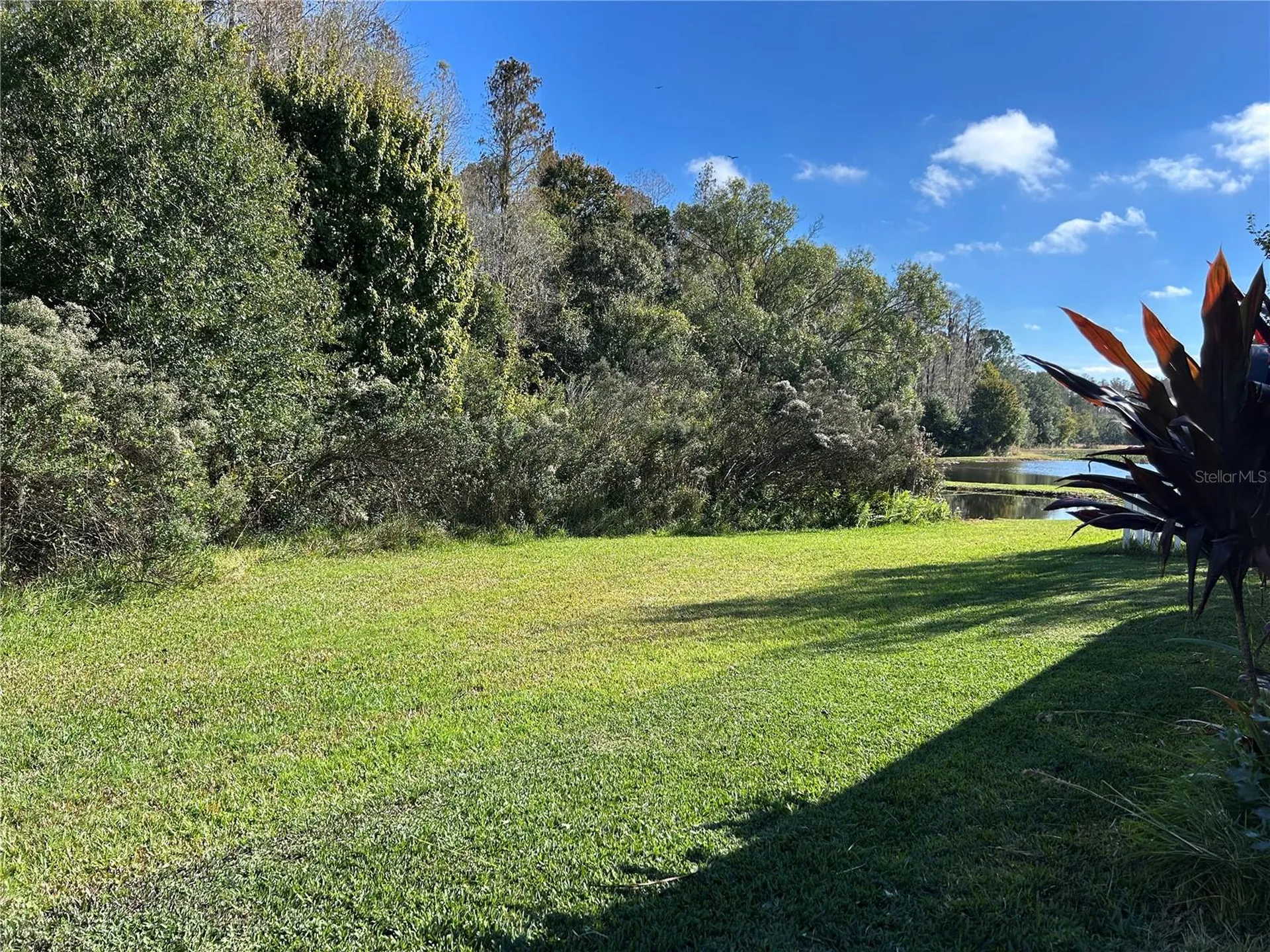 11695 Crestridge Loop New Port Richey FL 34655