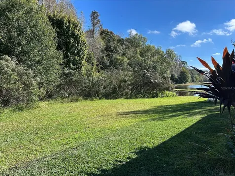 11695 Crestridge Loop New Port Richey FL 34655