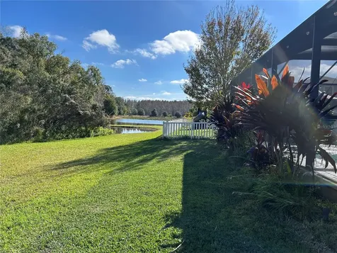 11695 Crestridge Loop New Port Richey FL 34655