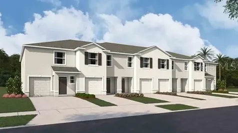 31132 Paper Birch Street Wesley Chapel FL 33545
