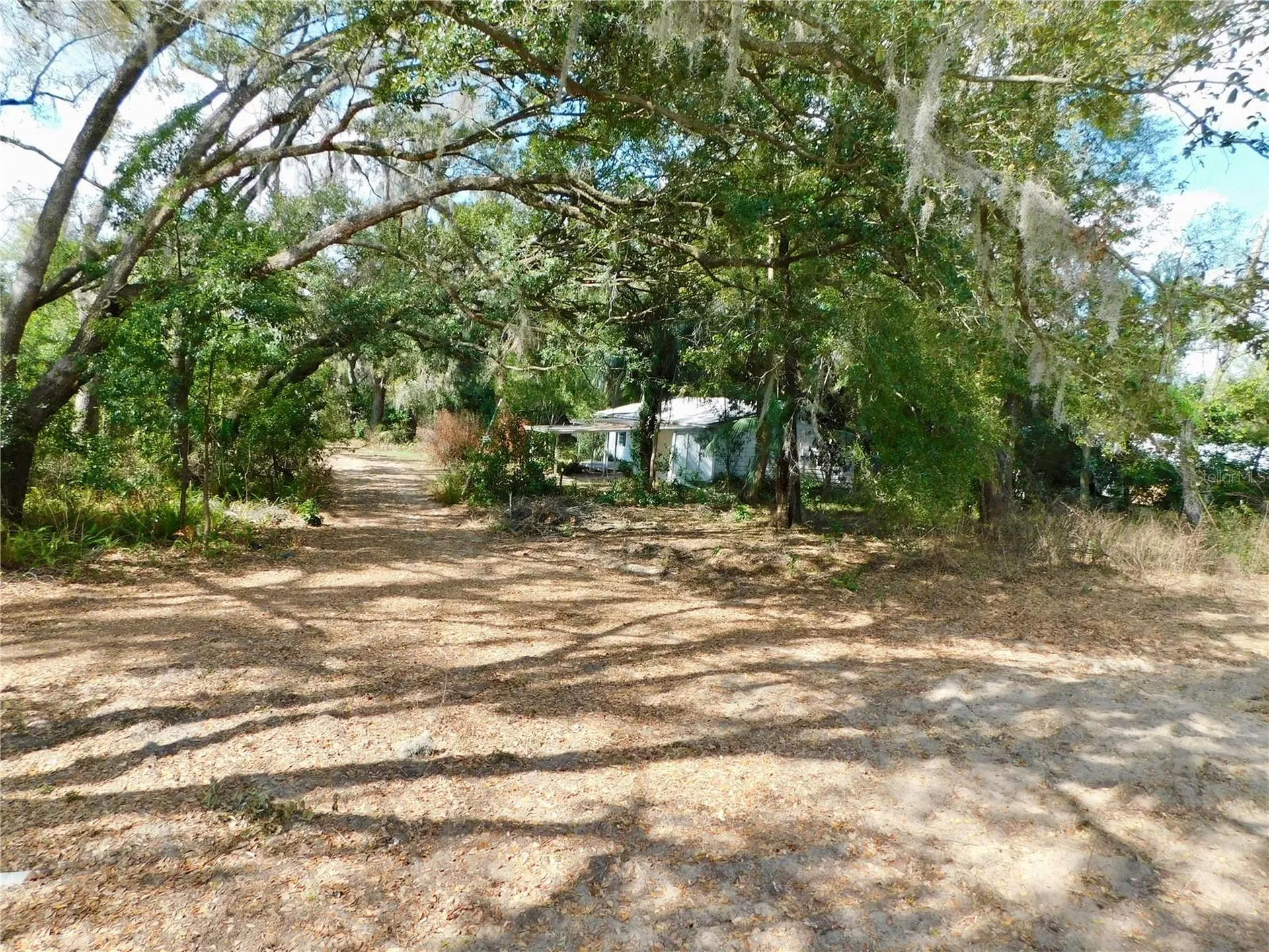 10351 Us Highway 301 Dade City FL 33525