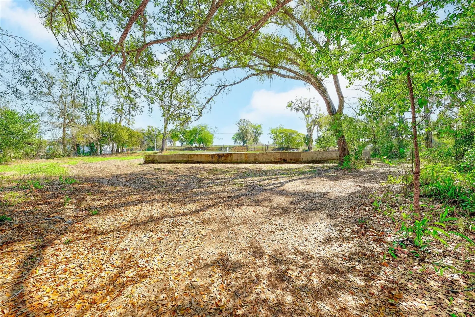 10351 Us Highway 301 Dade City FL 33525