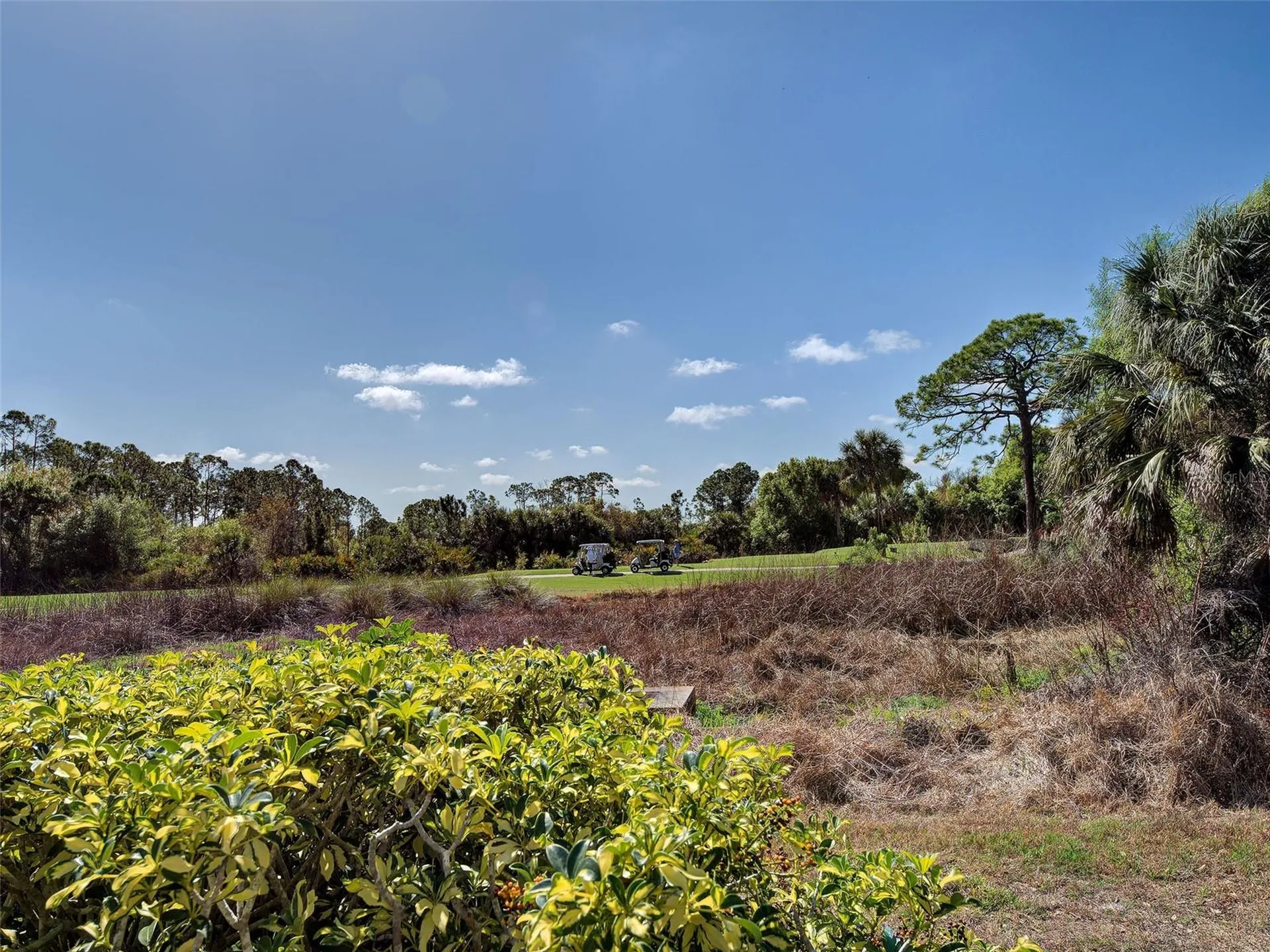 311 Lansbrook Drive Venice FL 34292