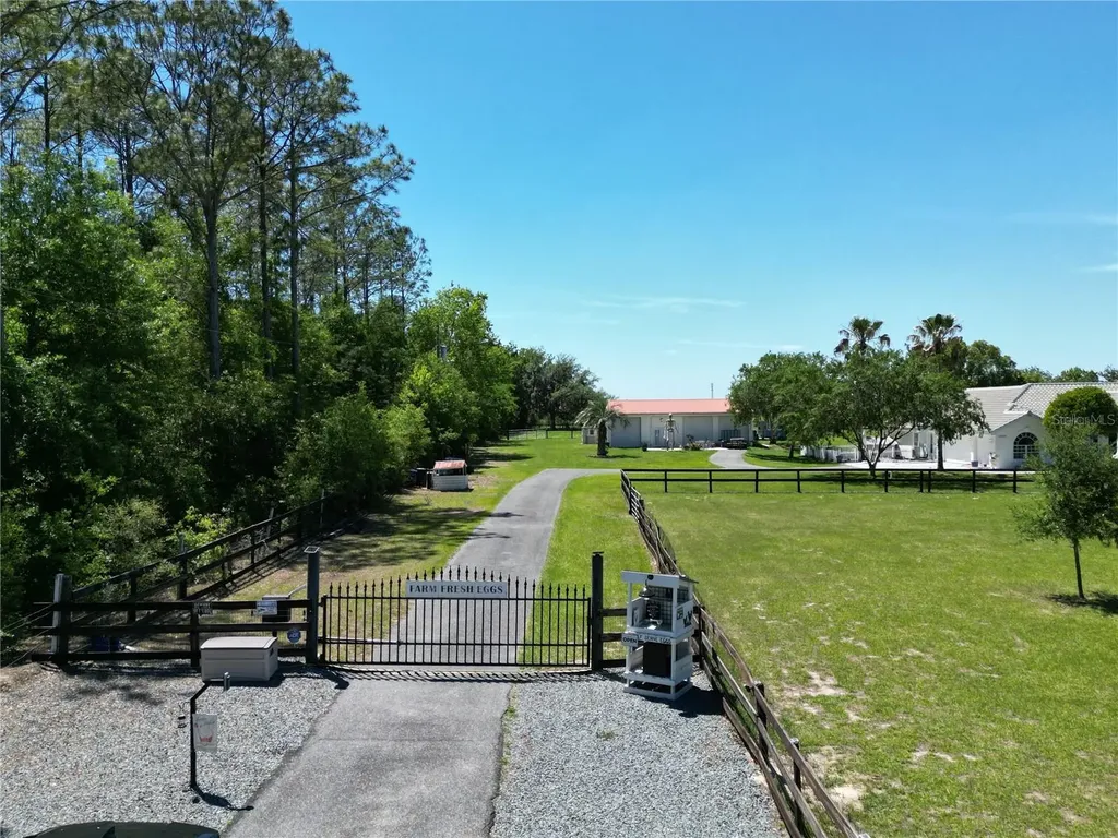 26914 Mondon Hill Road Brooksville FL 34601