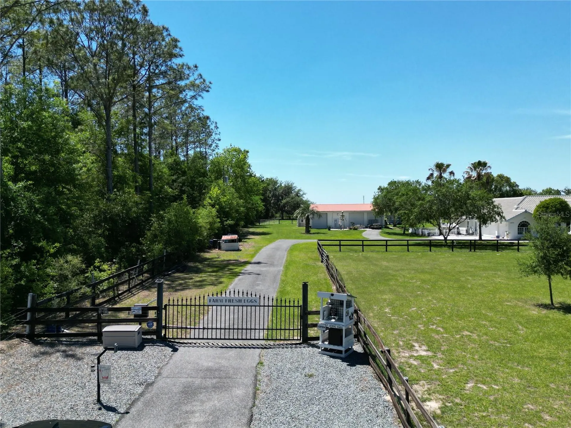 26914 Mondon Hill Road Brooksville FL 34601