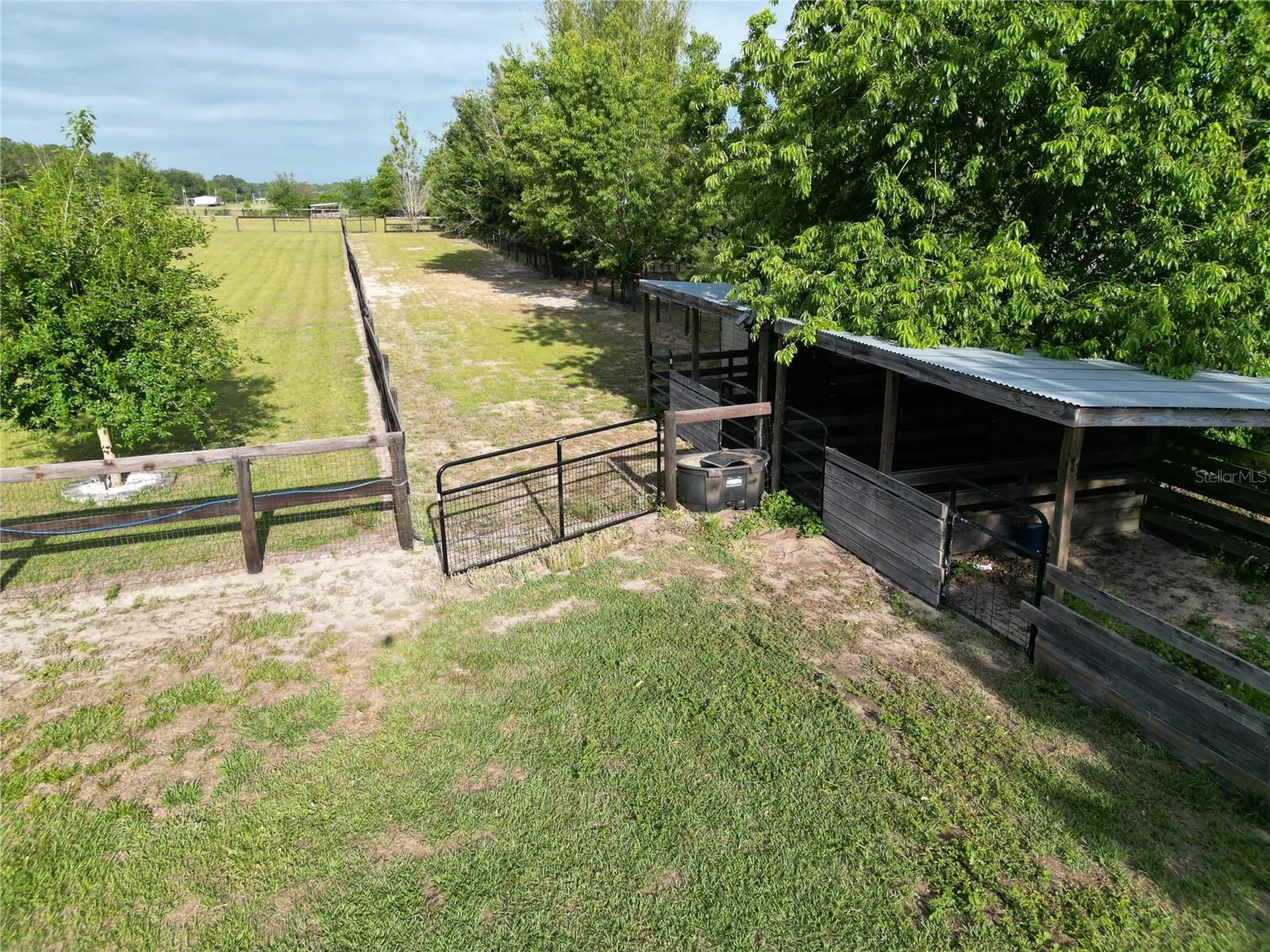 26914 Mondon Hill Road Brooksville FL 34601
