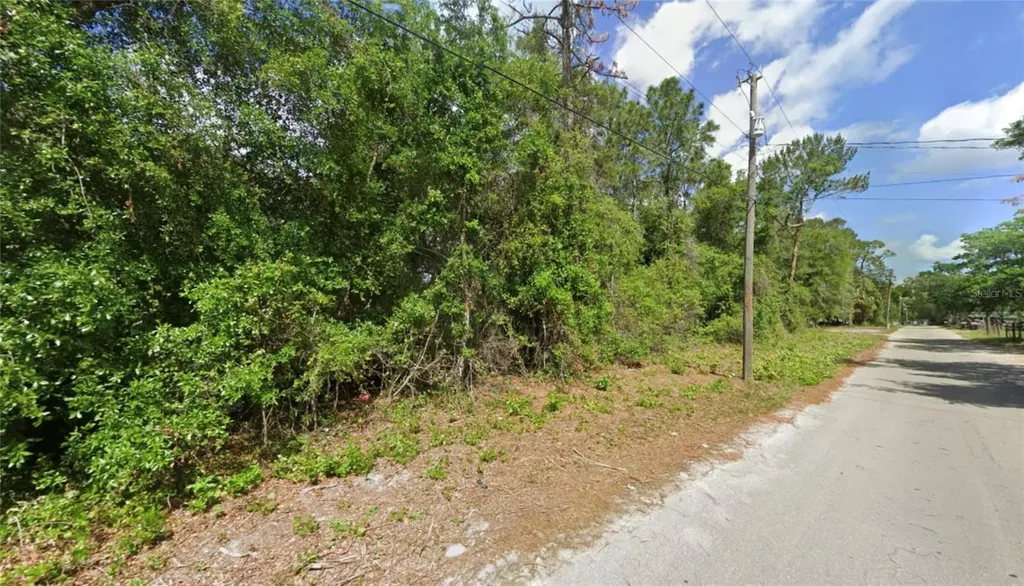 Tbd SE 129 Court Silver Springs FL 34488