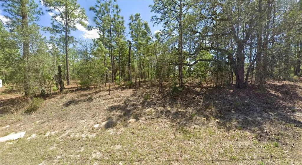 2551 W Sheila Drive Citrus Springs FL 34433