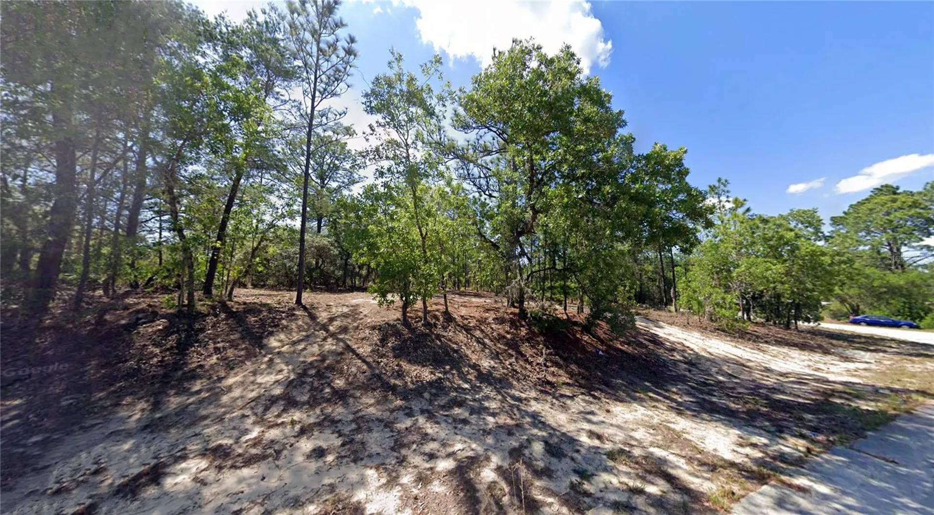 2551 W Sheila Drive Citrus Springs FL 34433
