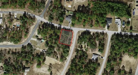 2551 W Sheila Drive Citrus Springs FL 34433