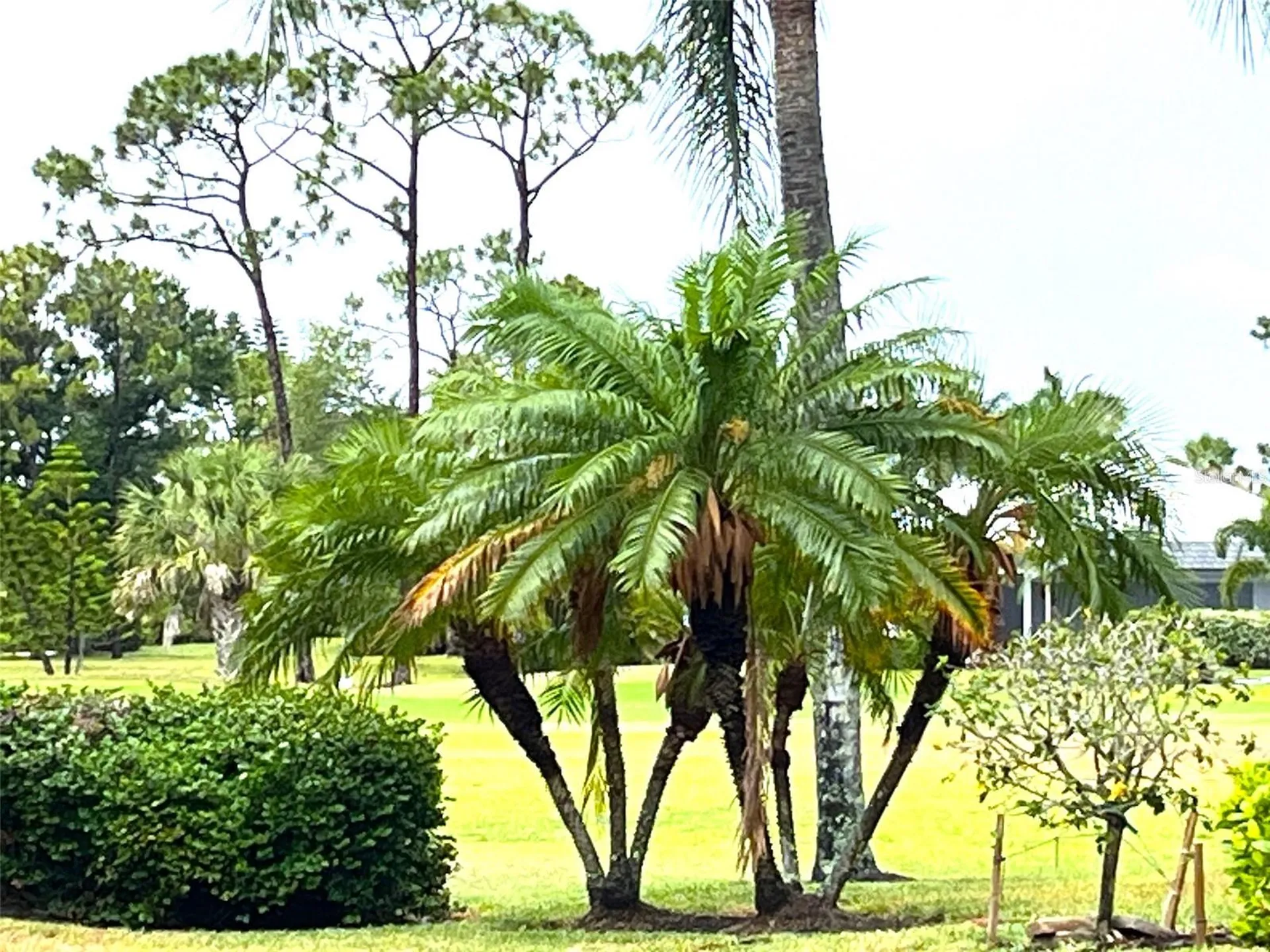 4041 King Tarpon Drive Punta Gorda FL 33955