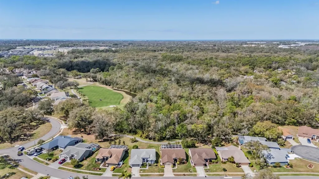 9525 Springmeadow Drive New Port Richey FL 34655