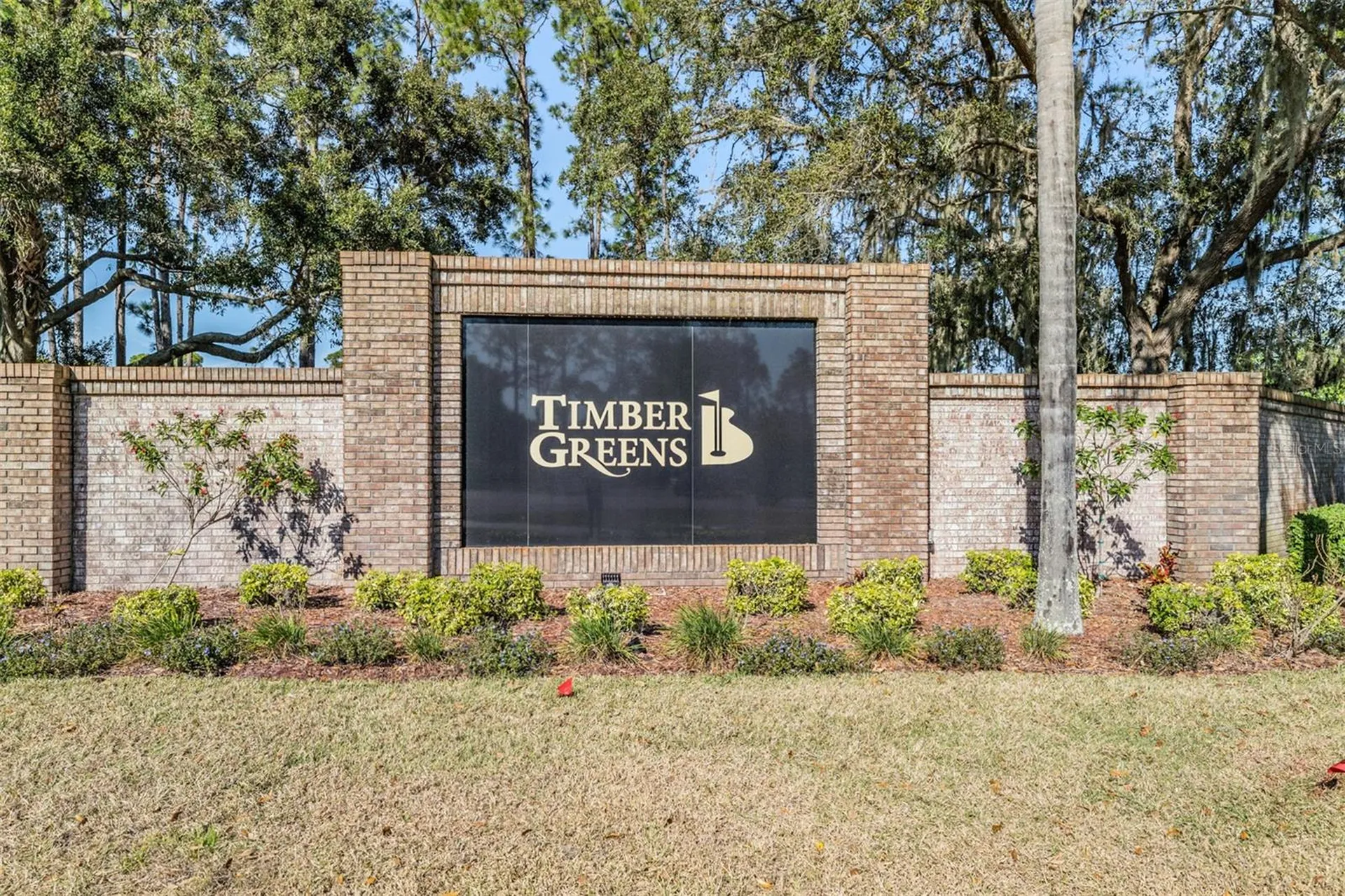 9525 Springmeadow Drive New Port Richey FL 34655
