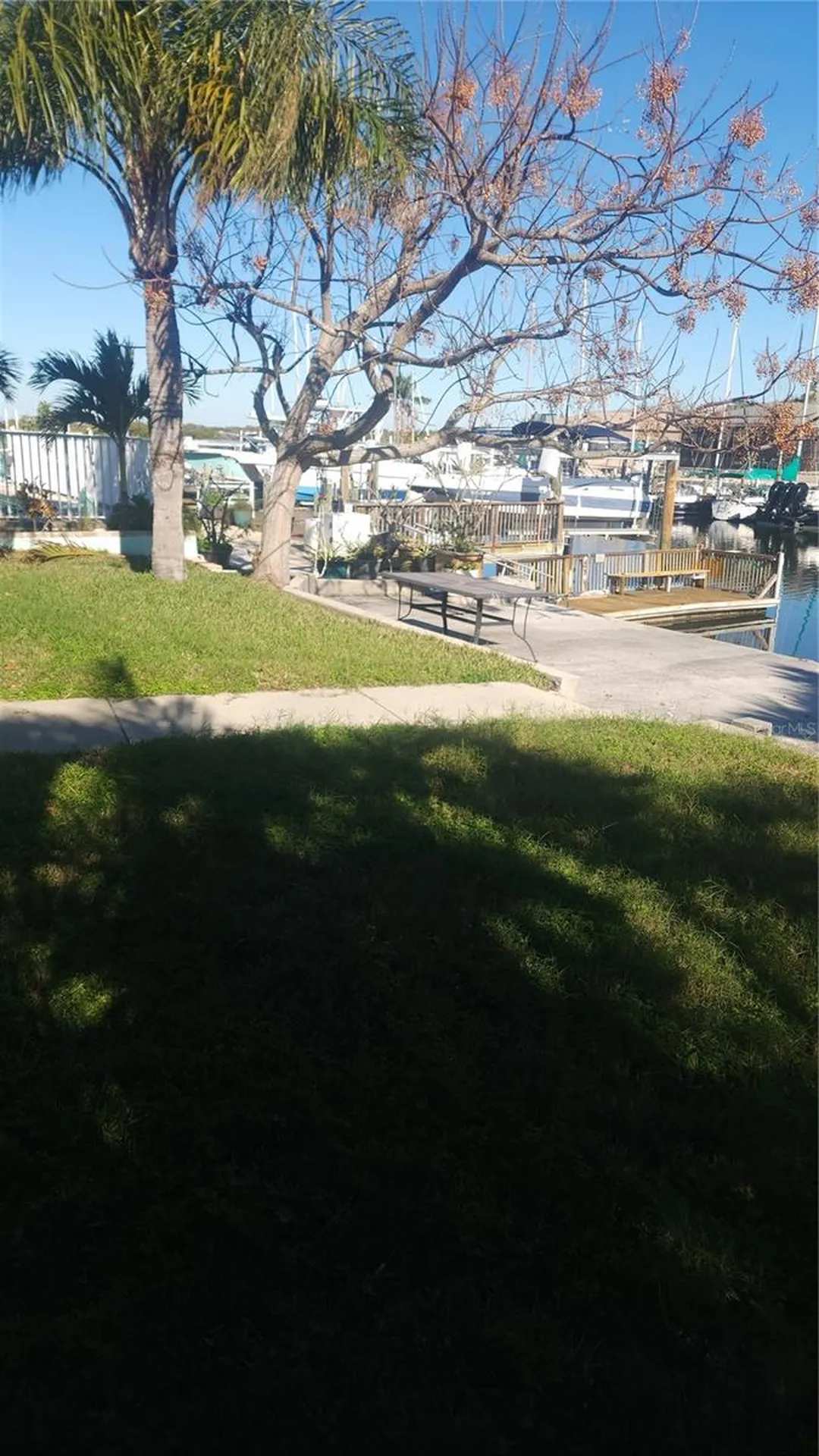 3907 Floramar Terrace New Port Richey FL 34652