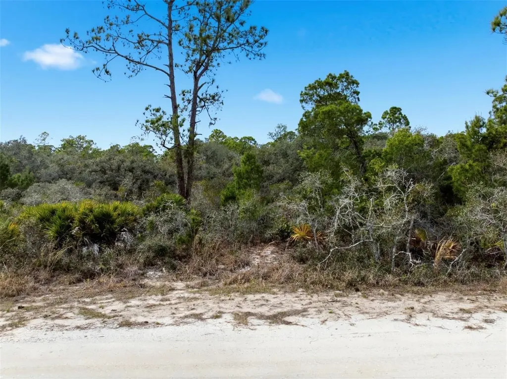 6705 Balsam Place Sebring FL 33875