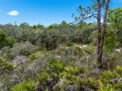 6705 Balsam Place Sebring FL 33875