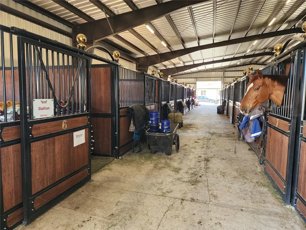 6025 NW 115th Avenue Ocala FL 34482