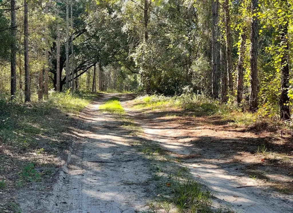 19751 County Road 33 Groveland FL 34736