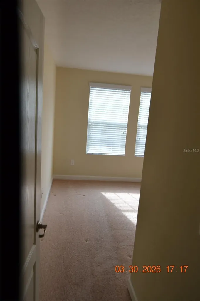 19347 Paddock View Drive Tampa FL 33647