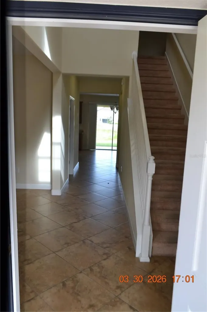 19347 Paddock View Drive Tampa FL 33647
