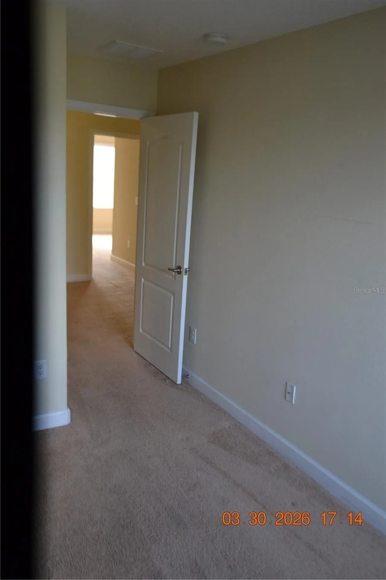19347 Paddock View Drive Tampa FL 33647
