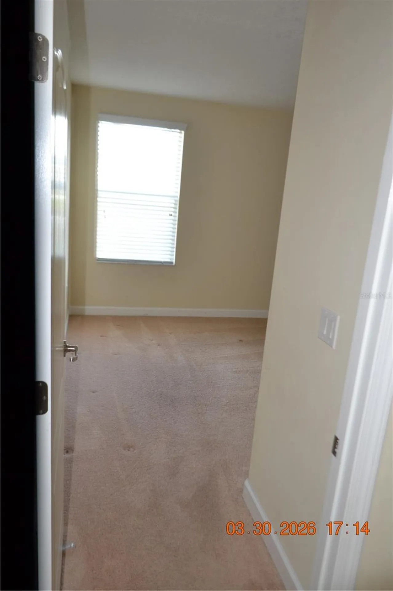 19347 Paddock View Drive Tampa FL 33647