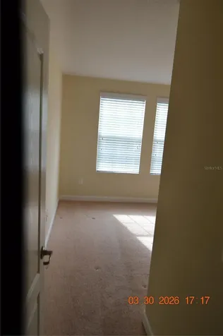 19347 Paddock View Drive Tampa FL 33647