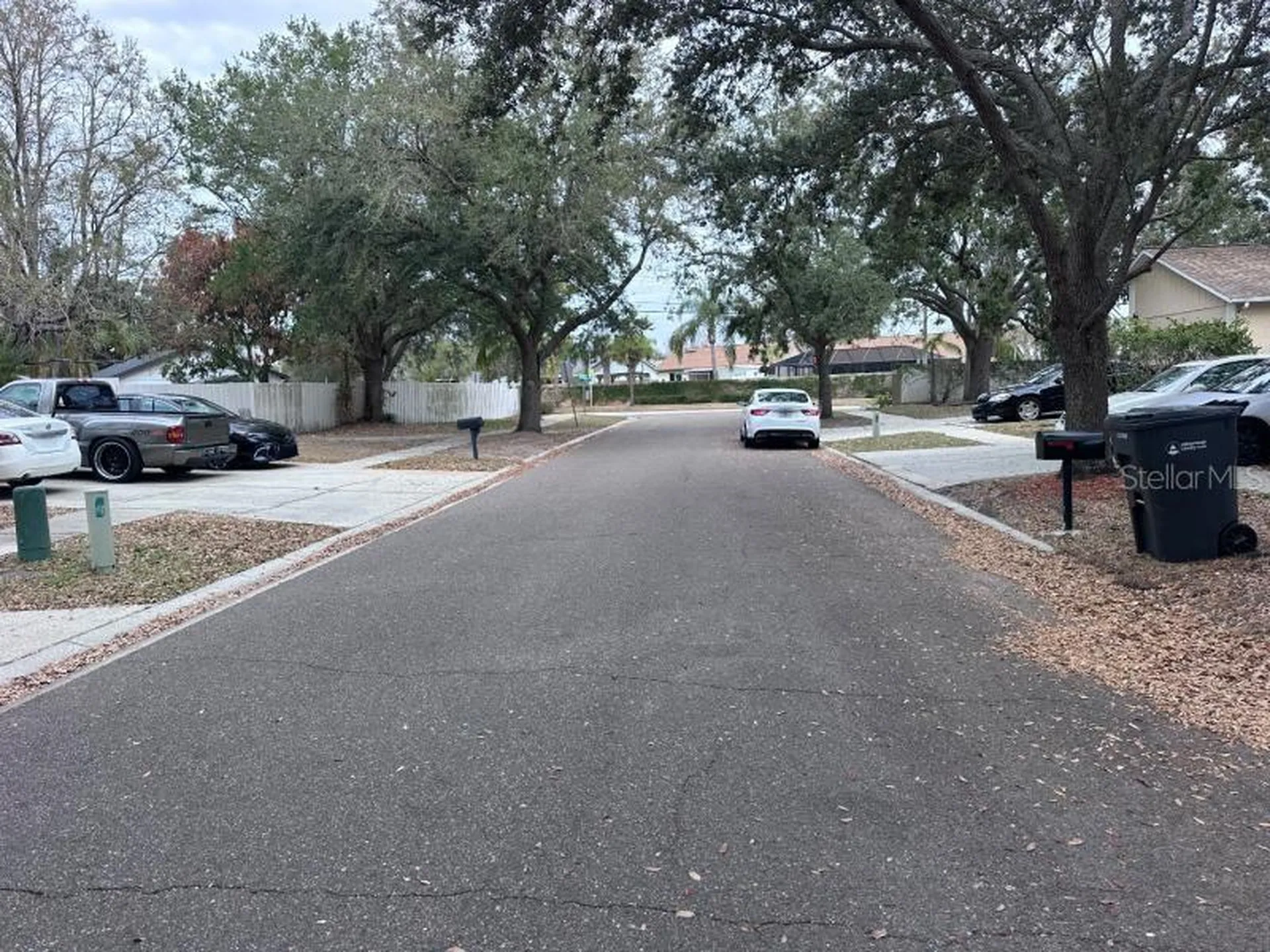 1451 Mohrlake Drive Brandon FL 33511