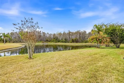 29338 Marker Loop San Antonio FL 33576