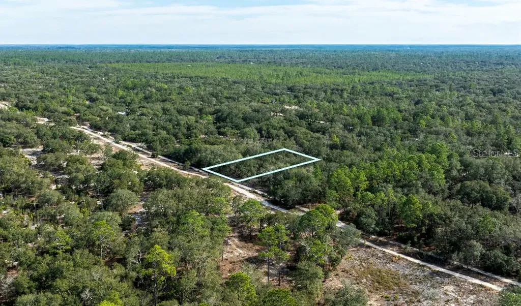 NE 90th Street Bronson FL 32621
