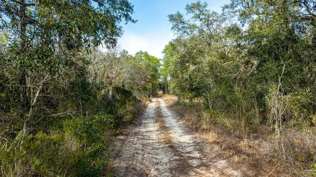NE 90th Street Bronson FL 32621