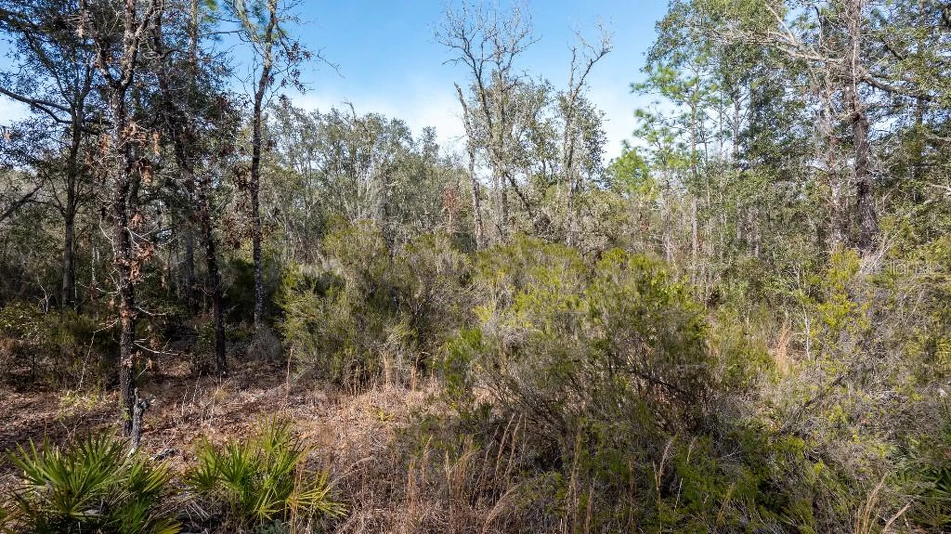 NE 90th Street Bronson FL 32621