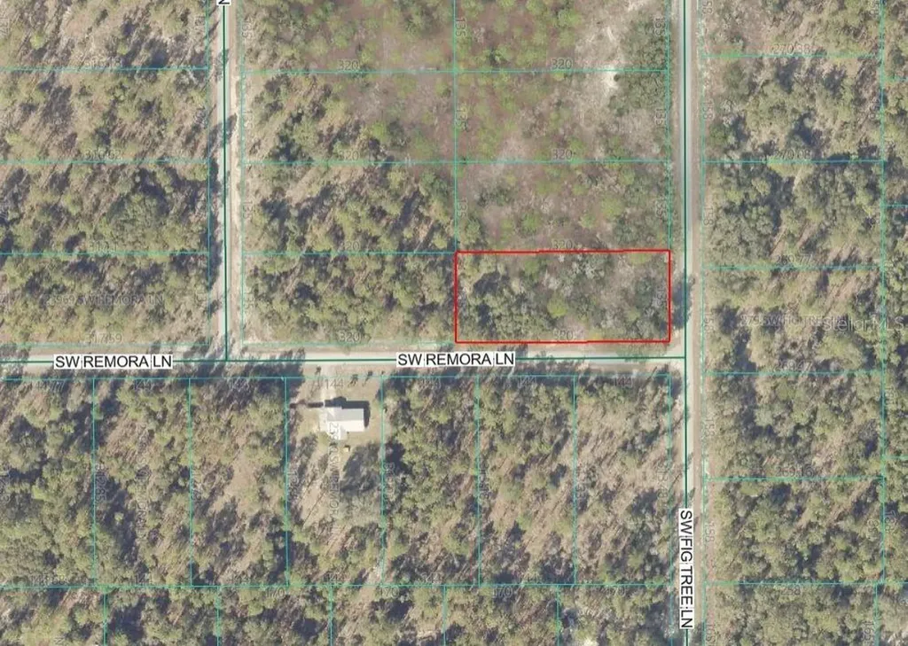 Lot 10 SW Fig Tree Lane Dunnellon FL 34431