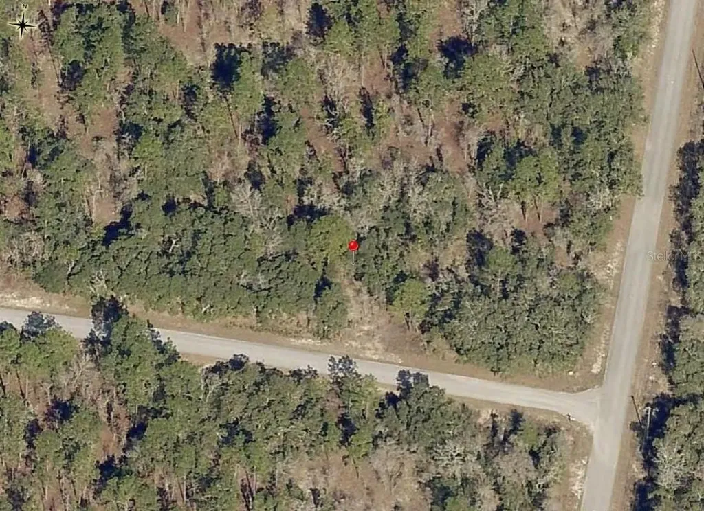Lot 10 SW Fig Tree Lane Dunnellon FL 34431