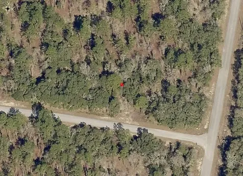 Lot 10 SW Fig Tree Lane Dunnellon FL 34431