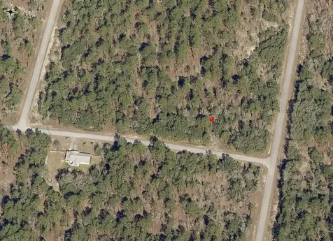 Lot 10 SW Fig Tree Lane Dunnellon FL 34431