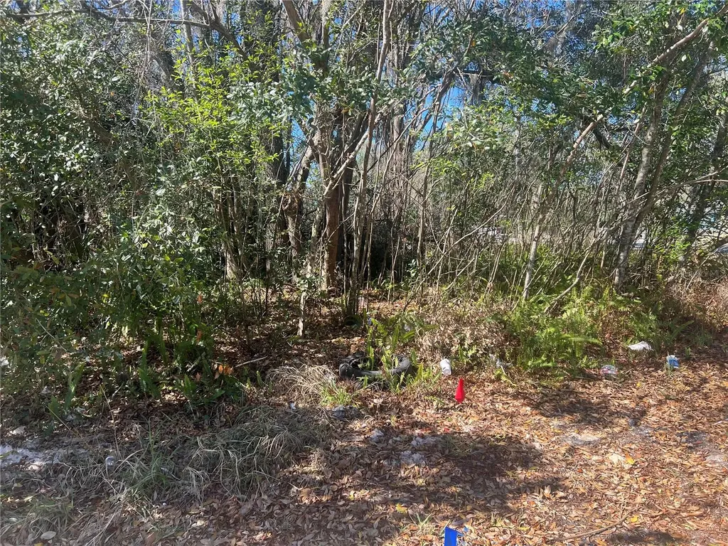 0 Stinson Street Leesburg FL 34748