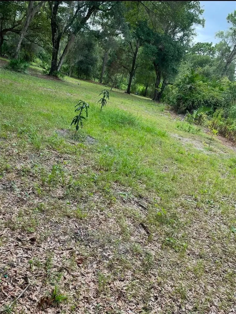 1301 Arapaho Trail Geneva FL 32732