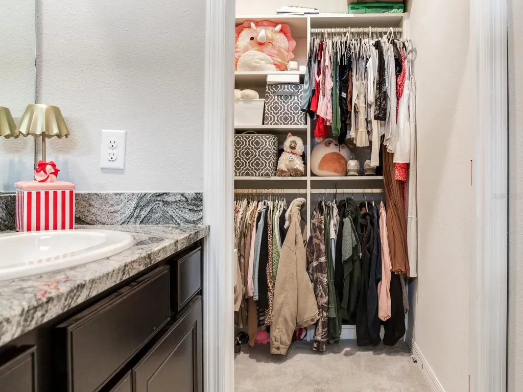 9822 Shoreline View Way Wesley Chapel FL 33545