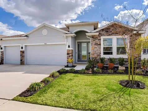 9822 Shoreline View Way Wesley Chapel FL 33545