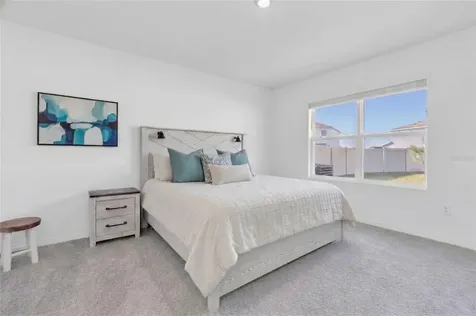 5943 Wandering Willow Drive Wesley Chapel FL 33545