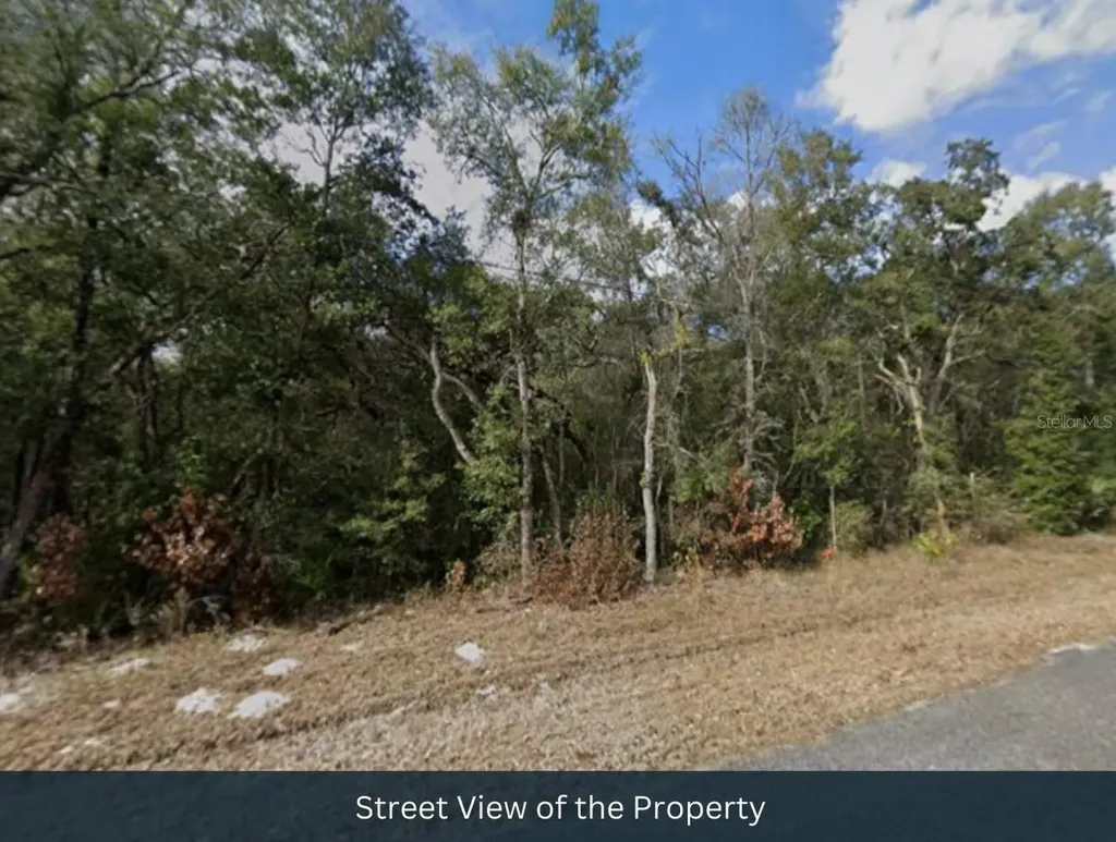 NW 85th Avenue Chiefland FL 32626