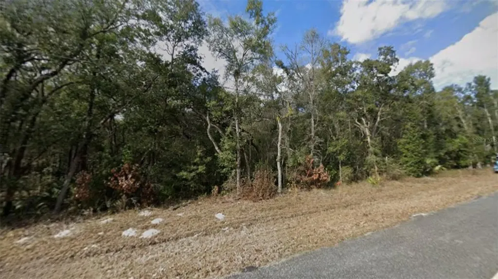 NW 85th Avenue Chiefland FL 32626