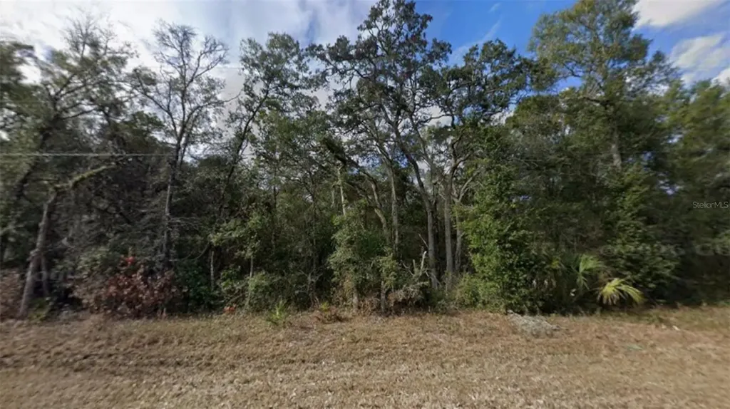 NW 85th Avenue Chiefland FL 32626
