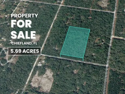 NW 85th Avenue Chiefland FL 32626