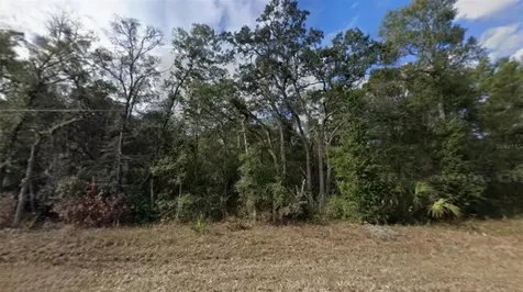 NW 85th Avenue Chiefland FL 32626